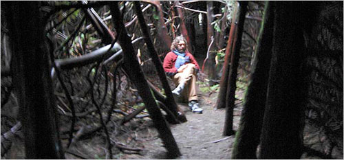 Keith Payne, a graduate student at Lewis & Clark College, relaxed before class at a campus reflection place. Ecopsychology classes are taught at the college. 