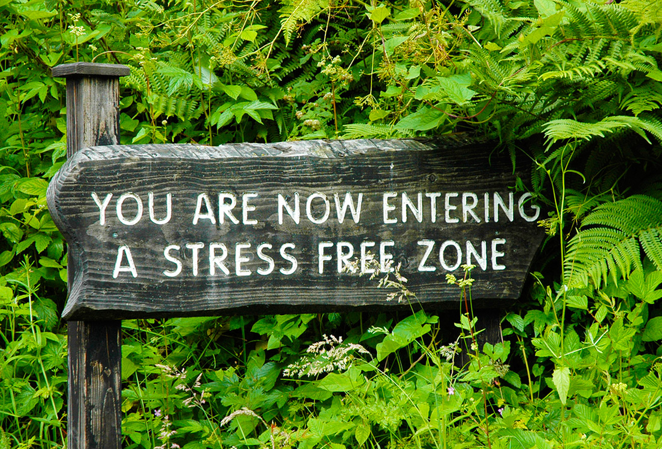 Wellness and Nature: Outdoor Mindfulness, Stress Relief - Outside